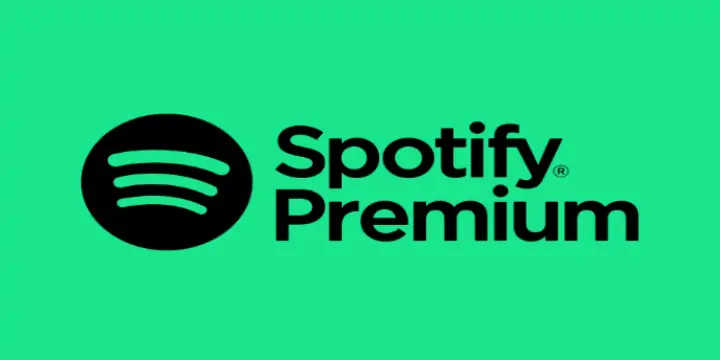 Spotify Premium 1 Year